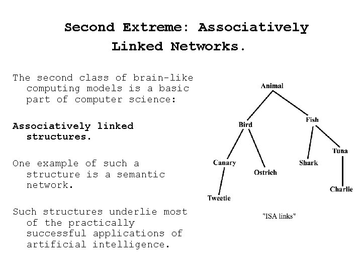  Second Extreme: Associatively Linked Networks. The second class of brain-like computing models is