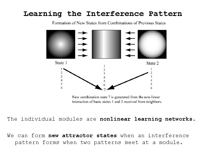 Learning the Interference Pattern The individual modules are nonlinear learning networks. We can form