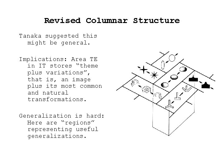 Revised Columnar Structure Tanaka suggested this might be general. Implications: Area TE in IT Revised Columnar Structure Tanaka suggested this might be general. Implications: Area TE in IT
