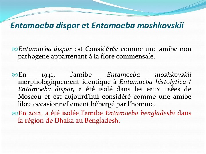 Entamoeba dispar et Entamoeba moshkovskii Entamoeba dispar est Considérée comme une amibe non pathogène