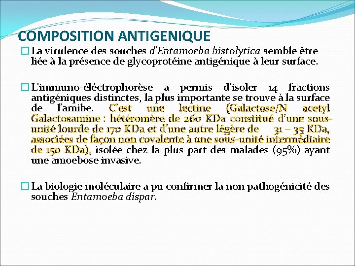 COMPOSITION ANTIGENIQUE �La virulence des souches d'Entamoeba histolytica semble être liée à la présence