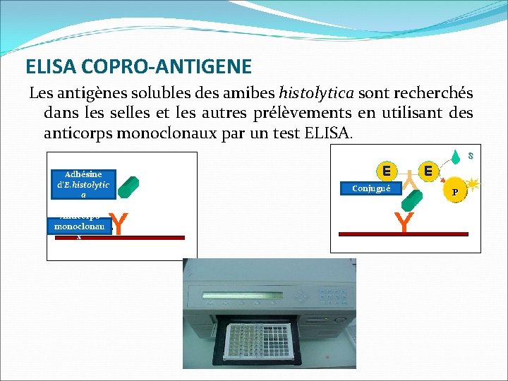 ELISA COPRO-ANTIGENE Les antigènes solubles des amibes histolytica sont recherchés dans les selles et