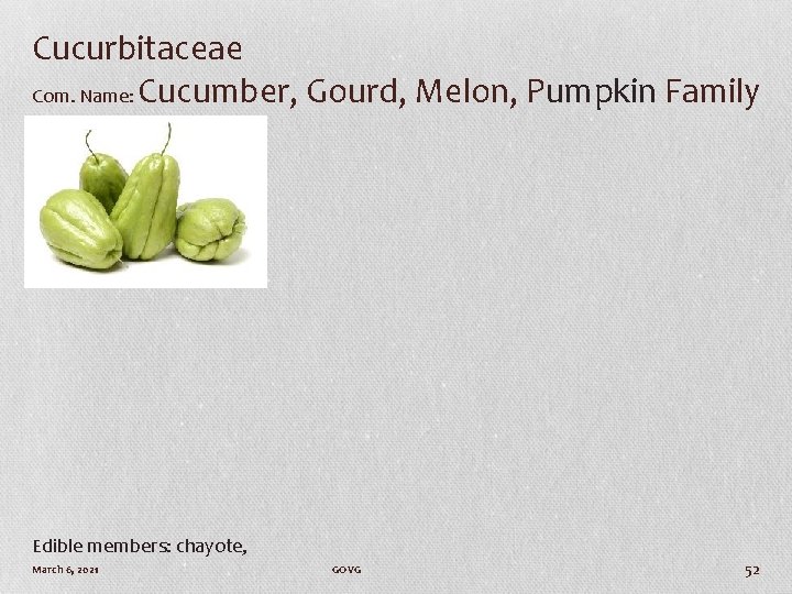 Cucurbitaceae Com. Name: Cucumber, Gourd, Melon, Pumpkin Family Edible members: chayote, March 6, 2021