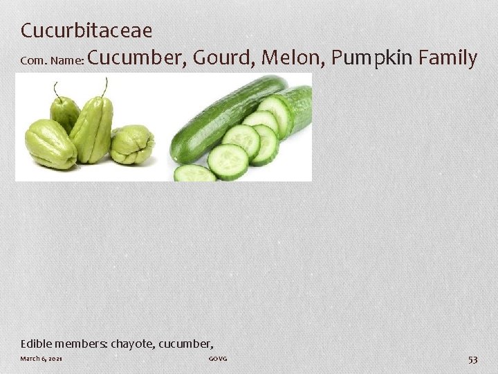 Cucurbitaceae Com. Name: Cucumber, Gourd, Melon, Pumpkin Family Edible members: chayote, cucumber, March 6,