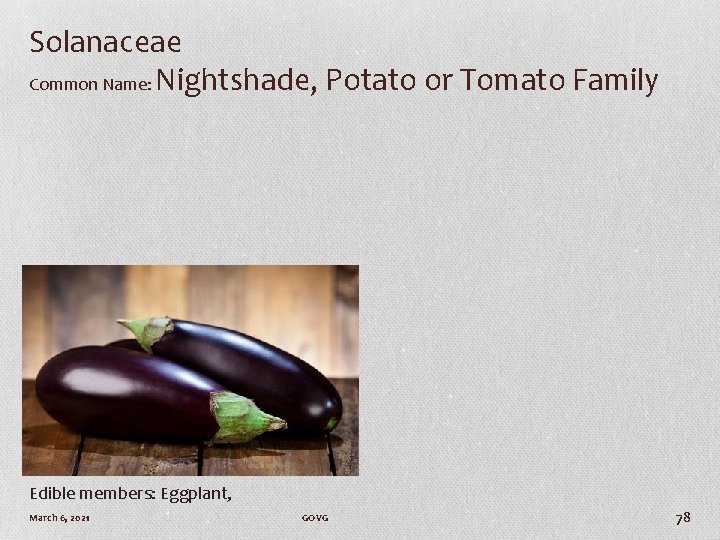 Solanaceae Common Name: Nightshade, Potato or Tomato Family Edible members: Eggplant, March 6, 2021