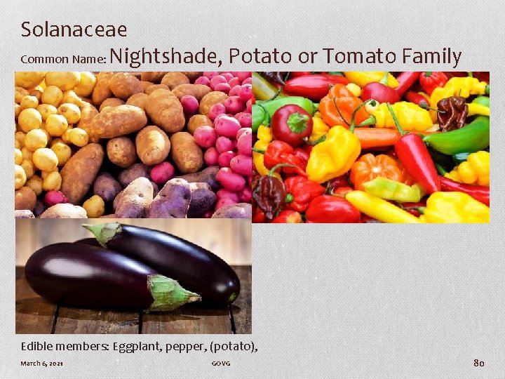 Solanaceae Common Name: Nightshade, Potato or Tomato Family Edible members: Eggplant, pepper, (potato), March