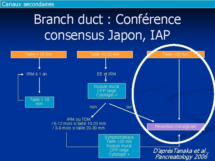Canaux secondaires Branch duct : Conférence consensus Japon, IAP Taille < 10 mm Taille Canaux secondaires Branch duct : Conférence consensus Japon, IAP Taille < 10 mm Taille
