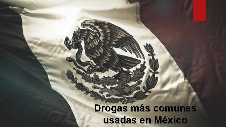 Drogas más comunes usadas en México 