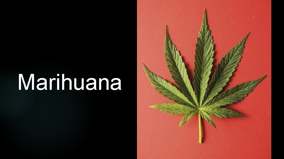 Marihuana 