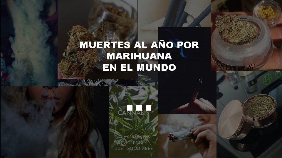 MUERTES AL AÑO POR MARIHUANA EN EL MUNDO … 