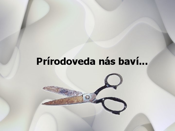 Prírodoveda nás baví. . . 