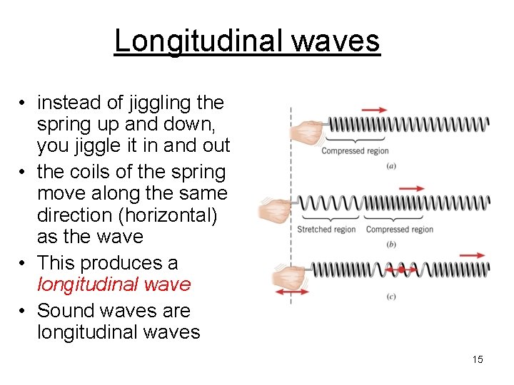 Longitudinal waves • instead of jiggling the spring up and down, you jiggle it