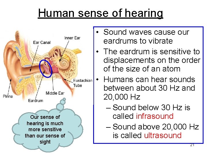 Human sense of hearing Our sense of hearing is much more sensitive than our