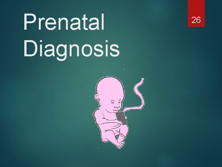 Prenatal Diagnosis 26 
