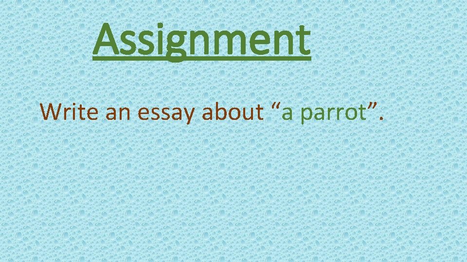 Assignment Write an essay about “a parrot”. 