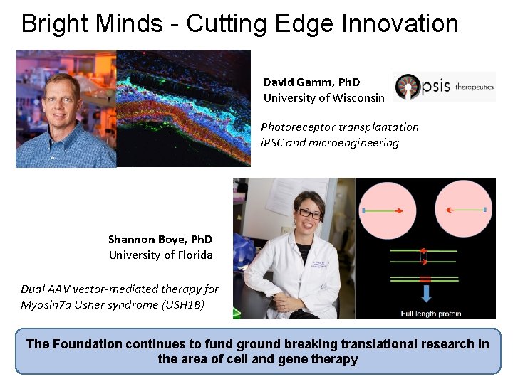 Bright Minds - Cutting Edge Innovation David Gamm, Ph. D University of Wisconsin Photoreceptor
