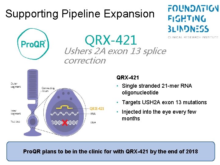 Supporting Pipeline Expansion QRX-421 Ushers 2 A exon 13 splice correction QRX-421 • Single