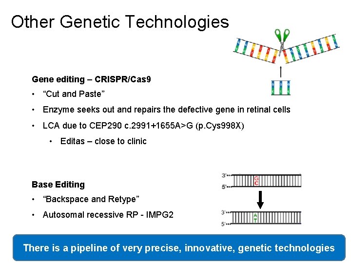 Other Genetic Technologies Gene editing – CRISPR/Cas 9 • “Cut and Paste” • Enzyme