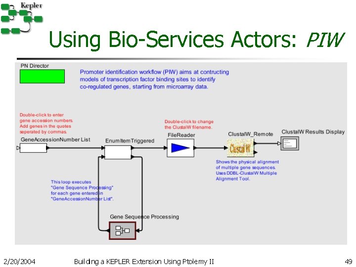 Using Bio-Services Actors: PIW 2/20/2004 Building a KEPLER Extension Using Ptolemy II 49 