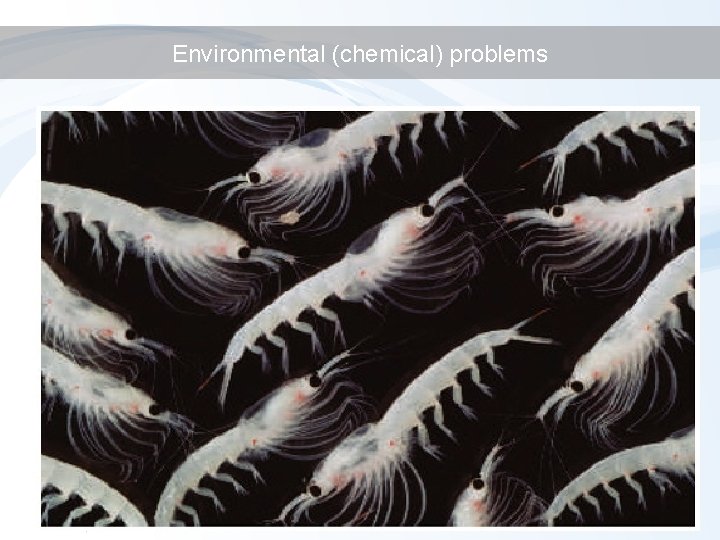 Environmental (chemical) problems 