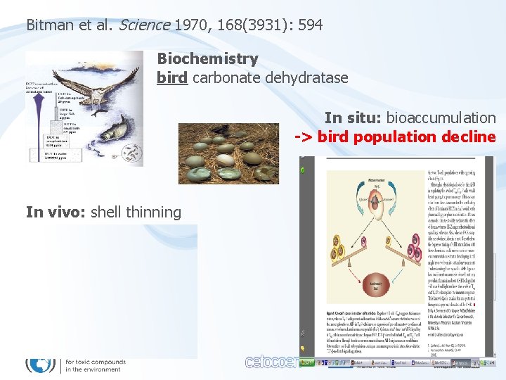 Bitman et al. Science 1970, 168(3931): 594 Biochemistry bird carbonate dehydratase In situ: bioaccumulation