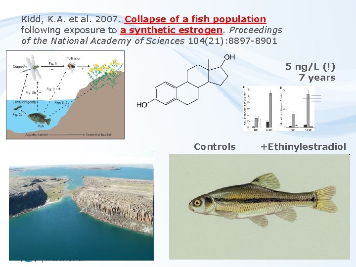 Kidd, K. A. et al. 2007. Collapse of a fish population following exposure to