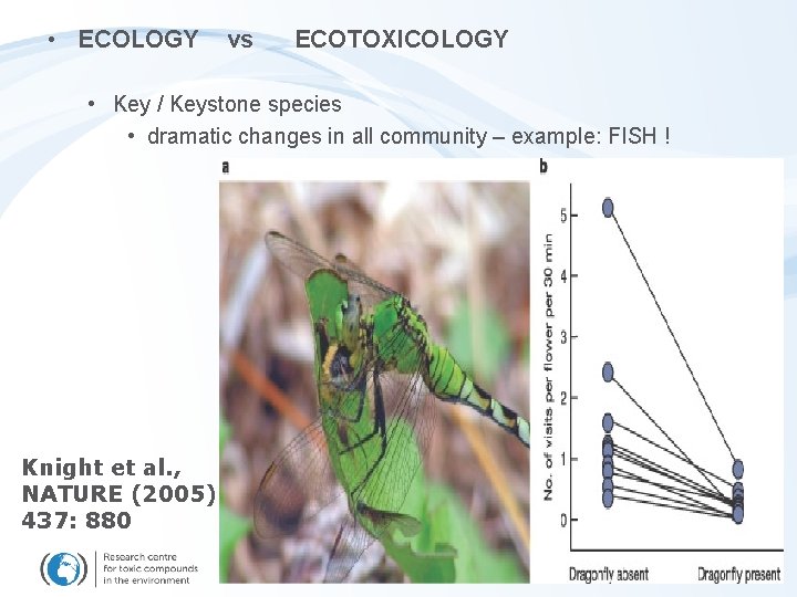  • ECOLOGY vs ECOTOXICOLOGY • Key / Keystone species • dramatic changes in