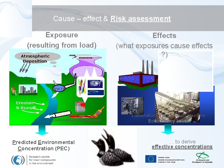 Cause – effect & Risk assessment Exposure (resulting from load) Atmospheric Deposition Effects (what