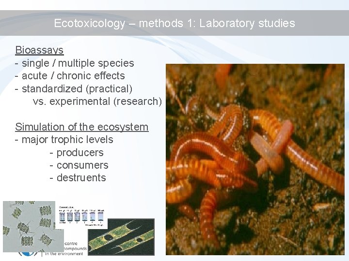 Ecotoxicology – methods 1: Laboratory studies Bioassays - single / multiple species - acute