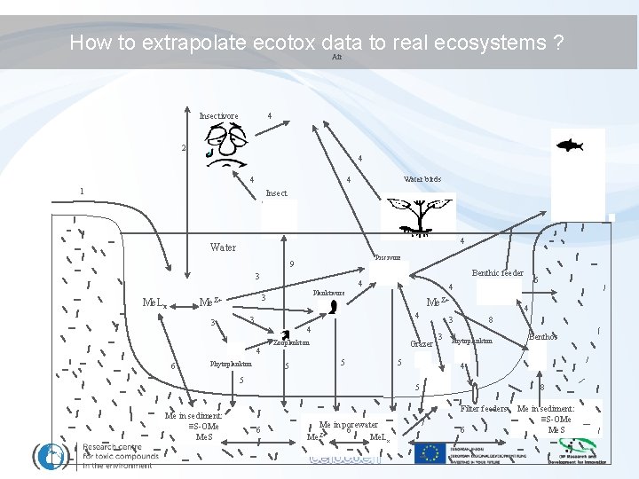 How to extrapolate ecotox data to real ecosystems ? Air Insectivore 4 2 4