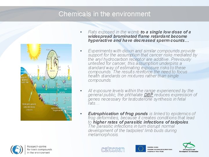 Chemicals in the environment • Rats exposed in the womb to a single low