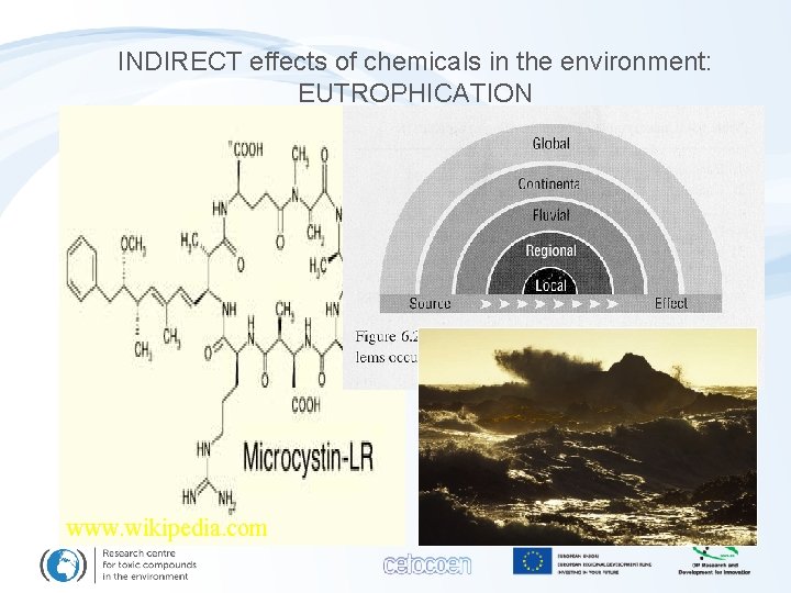 INDIRECT effects of chemicals in the environment: EUTROPHICATION www. wikipedia. com 