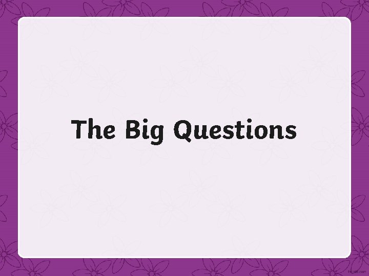 The Big Questions 