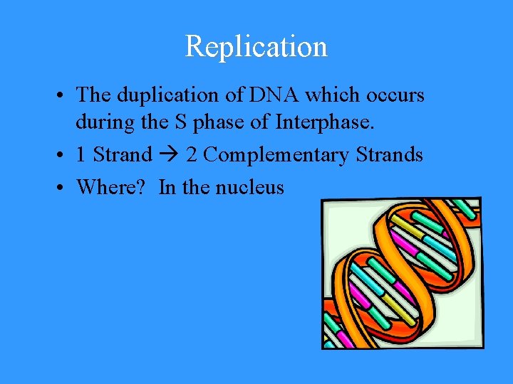 Replication • The duplication of DNA which occurs during the S phase of Interphase.