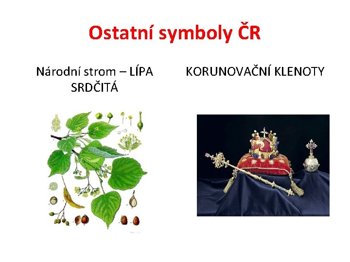 Ostatní symboly ČR Národní strom – LÍPA SRDČITÁ KORUNOVAČNÍ KLENOTY 