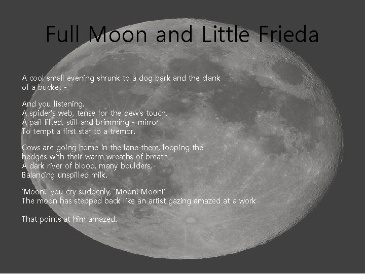 Full Moon and Little Frieda A cool small evening shrunk to a dog bark