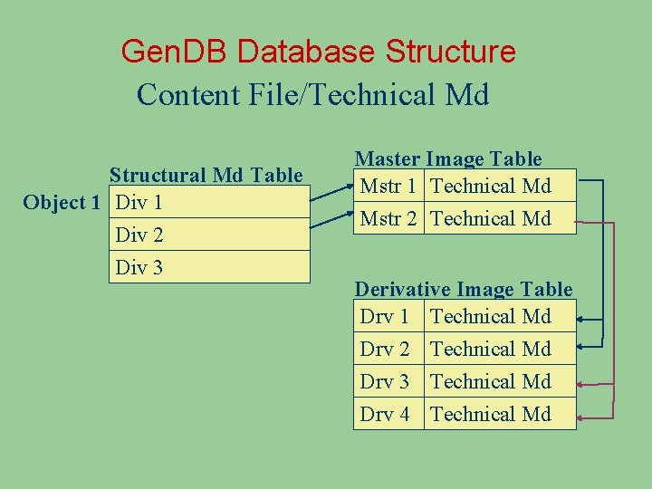 Gen. DB Database Structure Content File/Technical Md Structural Md Table Object 1 Div 2