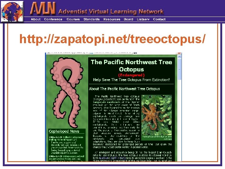http: //zapatopi. net/treeoctopus/ www. avln. org 
