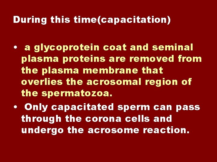 During this time(capacitation) • a glycoprotein coat and seminal plasma proteins are removed from