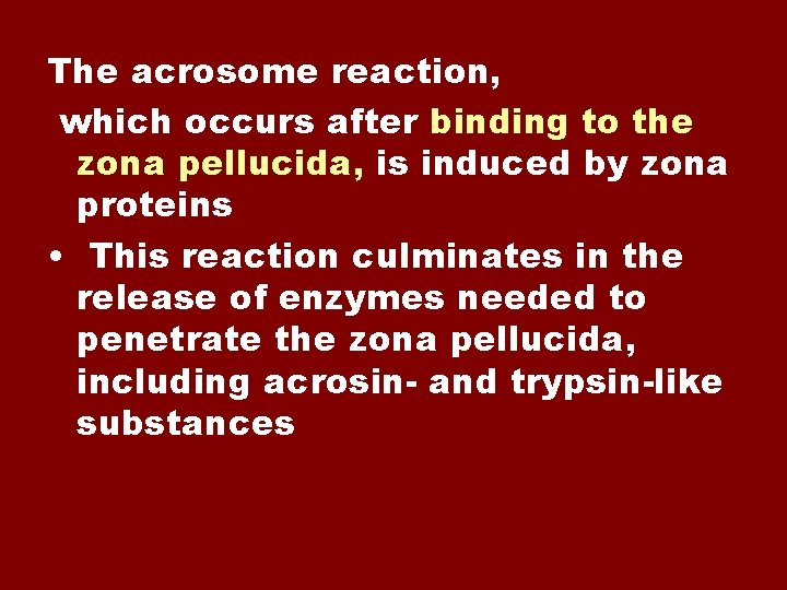 The acrosome reaction, which occurs after binding to the zona pellucida, is induced by