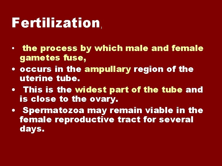 Fertilization, • the process by which male and female gametes fuse, • occurs in