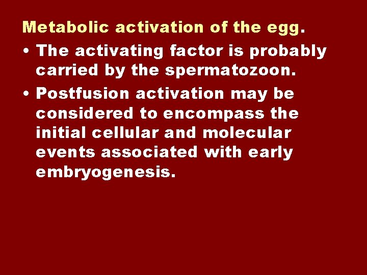 Metabolic activation of the egg. • The activating factor is probably carried by the