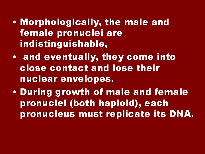  • Morphologically, the male and female pronuclei are indistinguishable, • and eventually, they