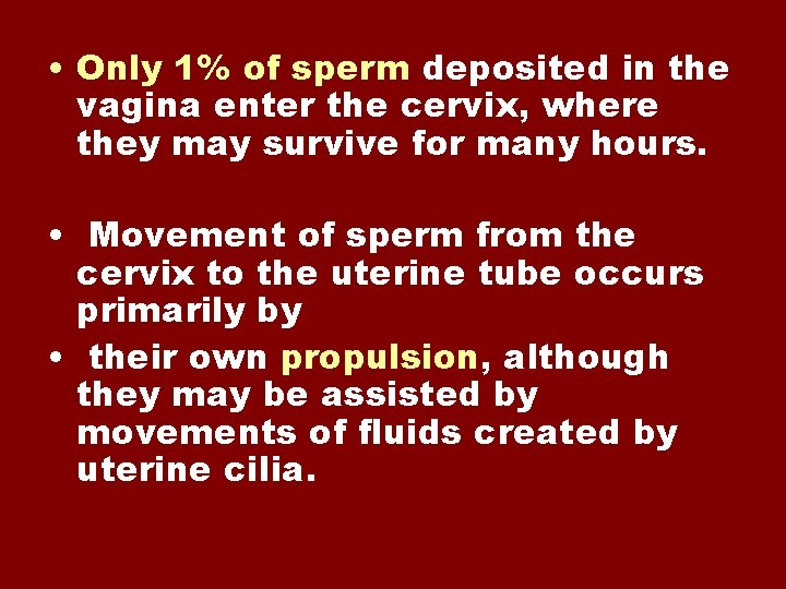  • Only 1% of sperm deposited in the vagina enter the cervix, where