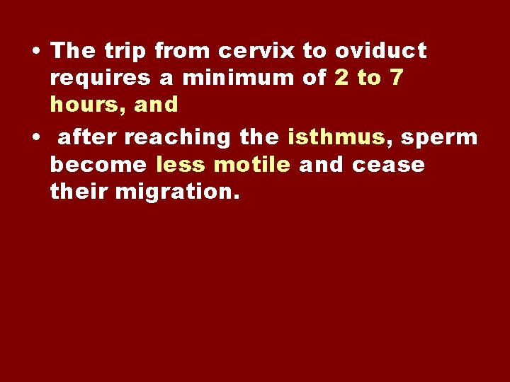  • The trip from cervix to oviduct requires a minimum of 2 to