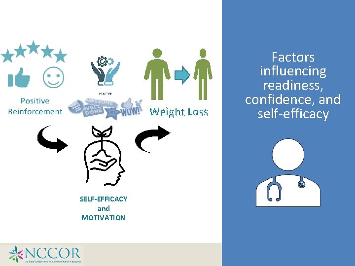 Weight Loss SELF-EFFICACY and MOTIVATION Factors influencing readiness, confidence, and self-efficacy  Weight Loss SELF-EFFICACY and MOTIVATION Factors influencing readiness, confidence, and self-efficacy