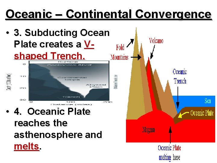 Oceanic – Continental Convergence • 3. Subducting Ocean Plate creates a Vshaped Trench. •