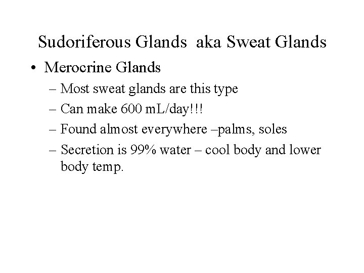 Sudoriferous Glands aka Sweat Glands • Merocrine Glands – Most sweat glands are this