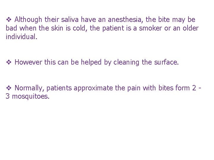 v Although their saliva have an anesthesia, the bite may be bad when the