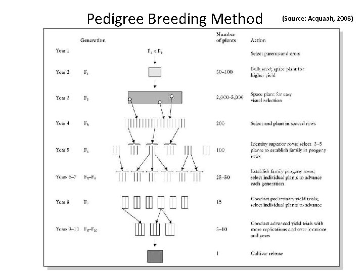 Pedigree Breeding Method (Source: Acquaah, 2006) 